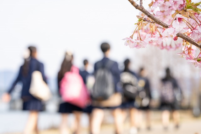学校情報 地域情報 品川 ブルッカー レンタルスタジオ ダンススタジオ  港区 品川区 学区 小学校 中学校 大学 高校 保育園 幼稚園 キッズレッスン